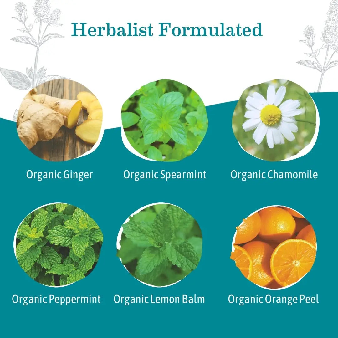 Earth Mama Organics - Organic Ginger Nausea Tea