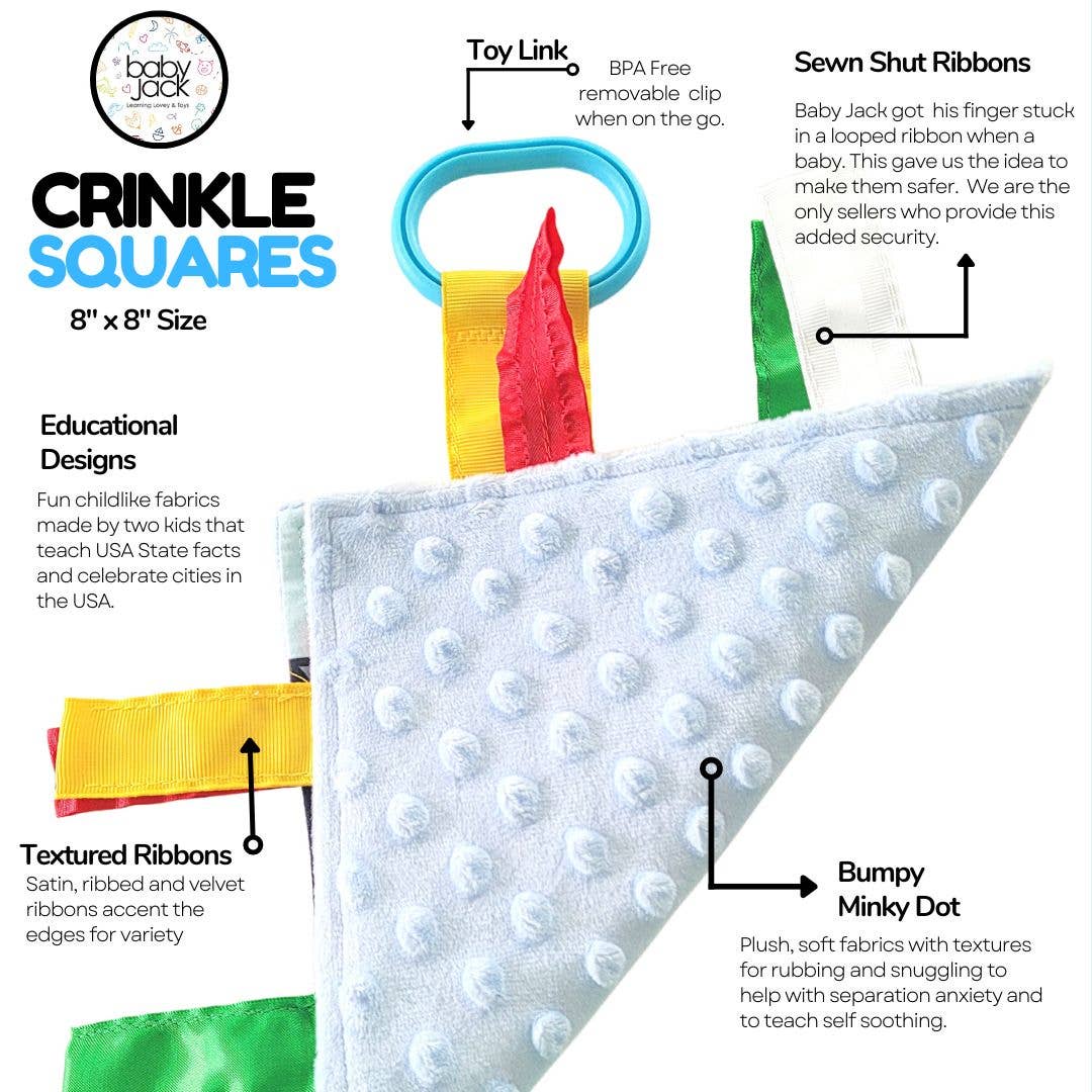 Farm Crinkle Tag Square 8x8 Baby Teach at Home Toy