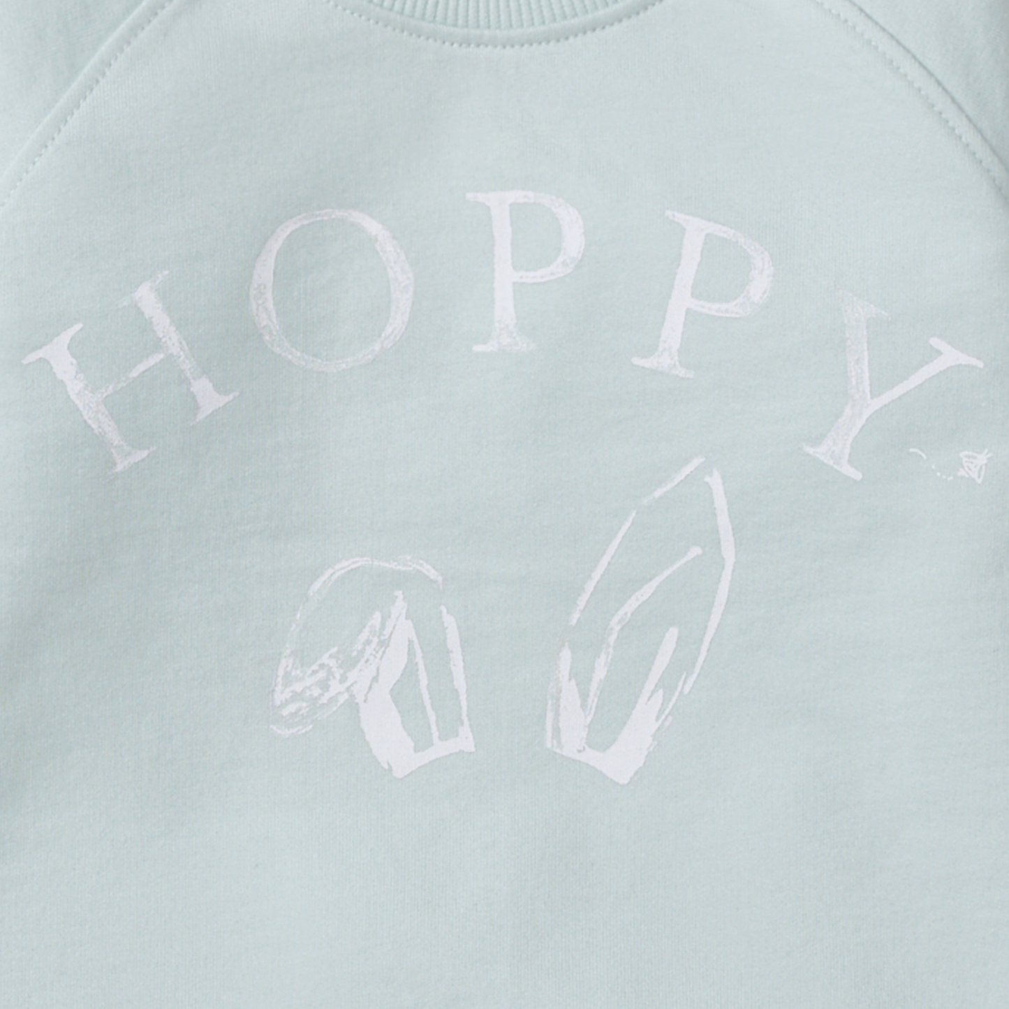Burt's Bees Baby - Hoppy Blue Organic Cotton Sweatshirt