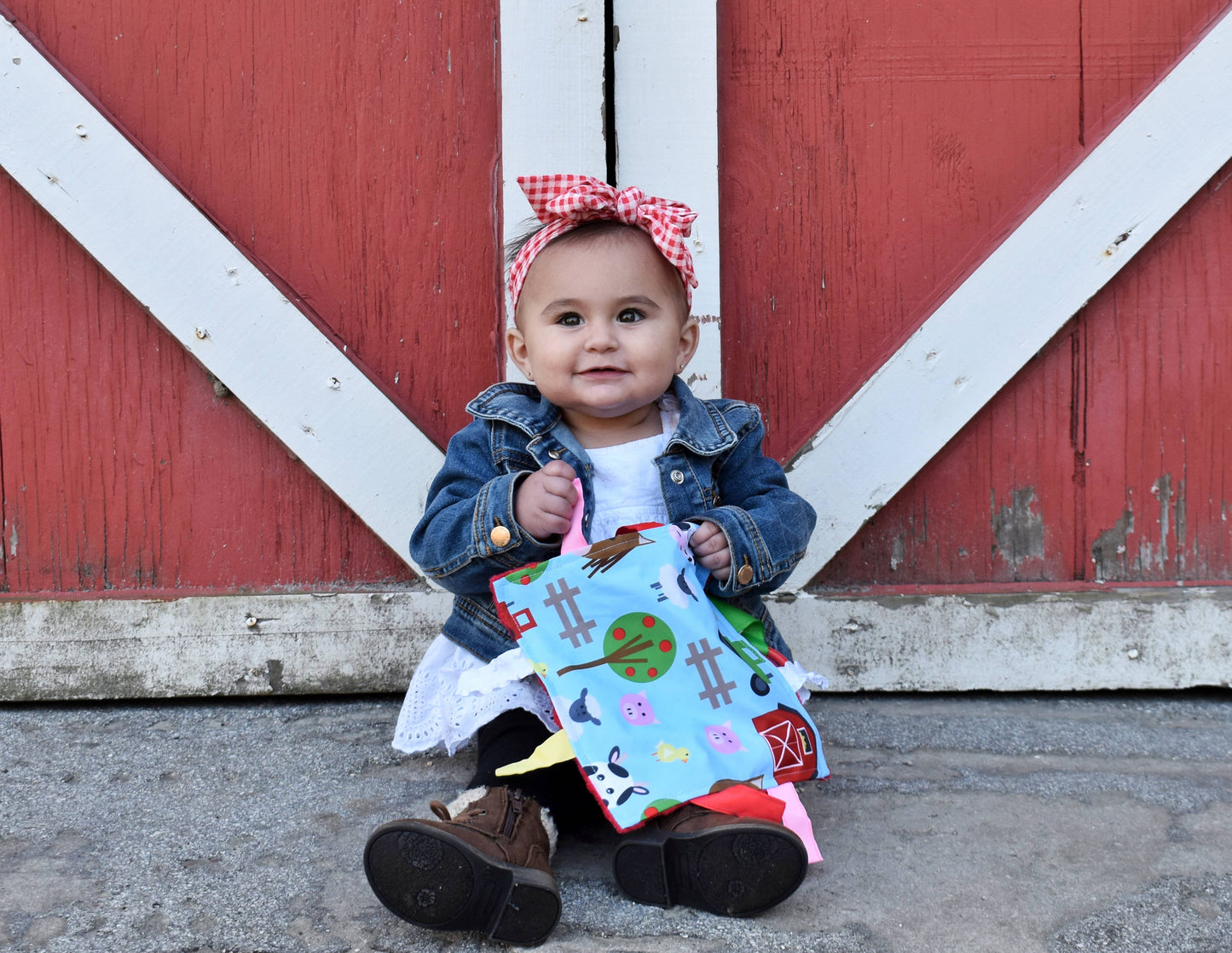 Farm Crinkle Tag Square 8x8 Baby Teach at Home Toy