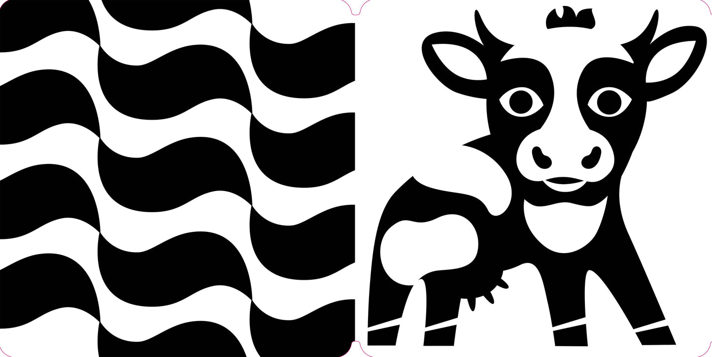 Hachette Book Group - Spring Street Tummy Time: Baby's First Book in Black & White Book