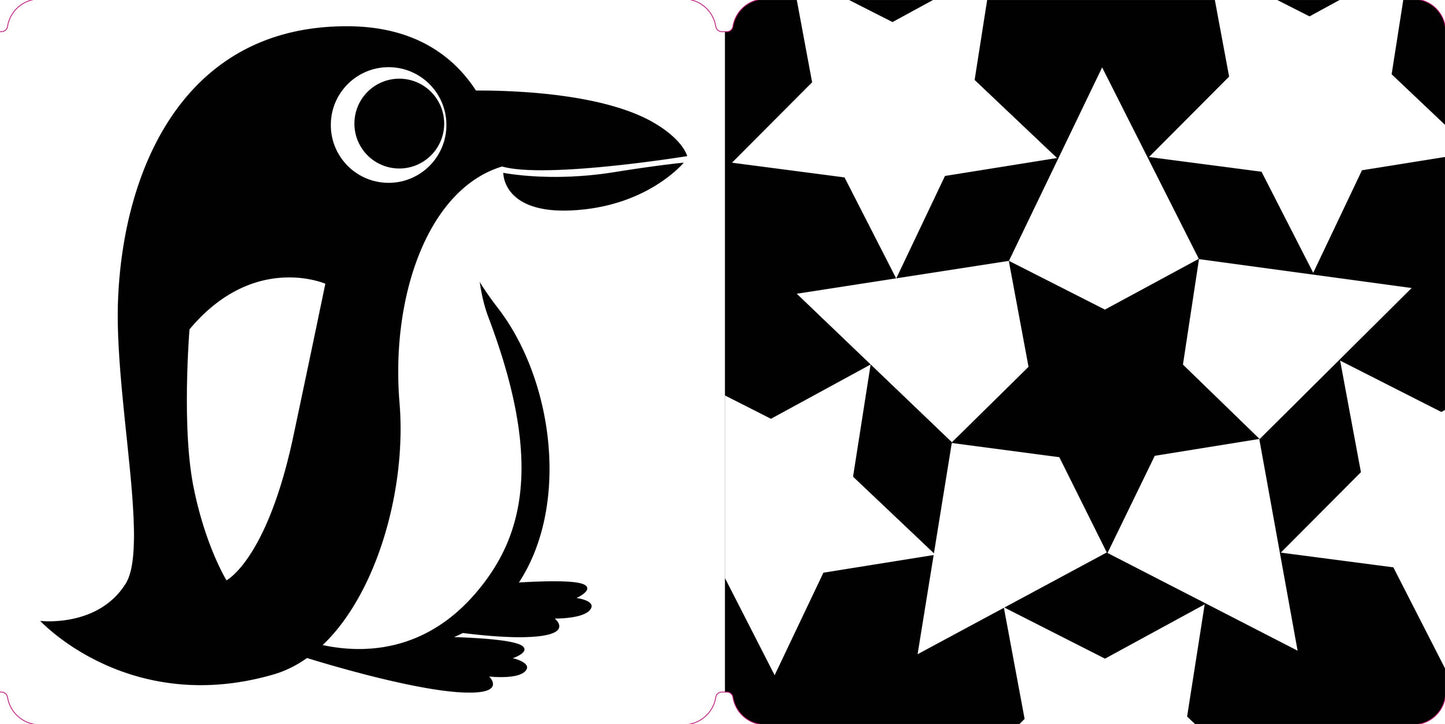 Hachette Book Group - Spring Street Tummy Time: Baby's First Book in Black & White Book