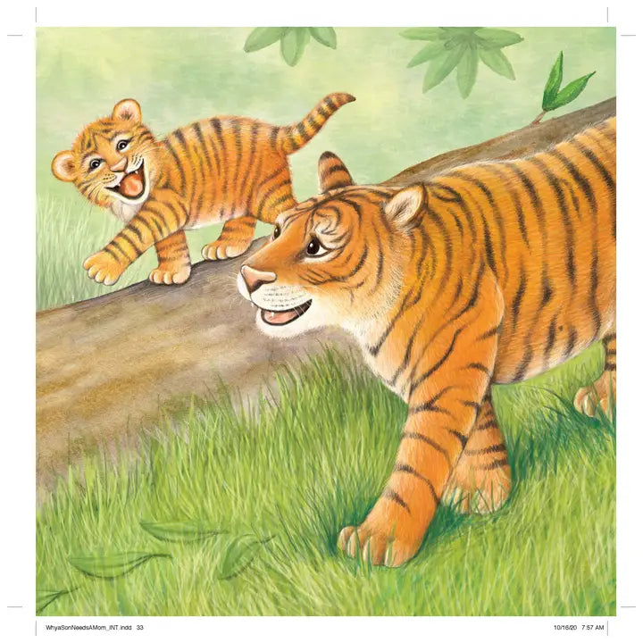 Sourcebooks - Why A Son Needs A Mom (hardcover) Book