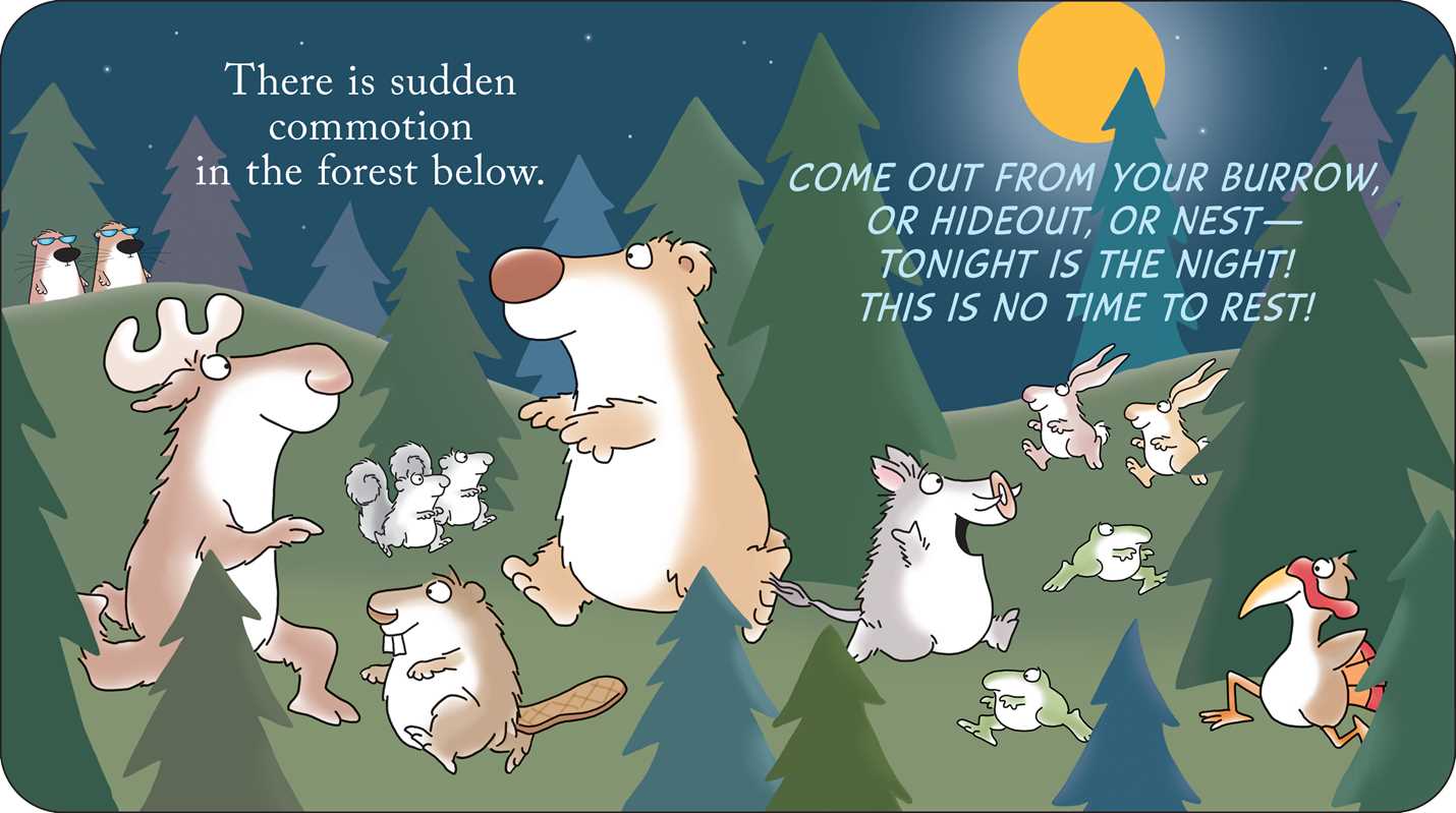 Simon & Schuster - Woodland Dance! by Sandra Boynton: Board Books; 24 pages / English