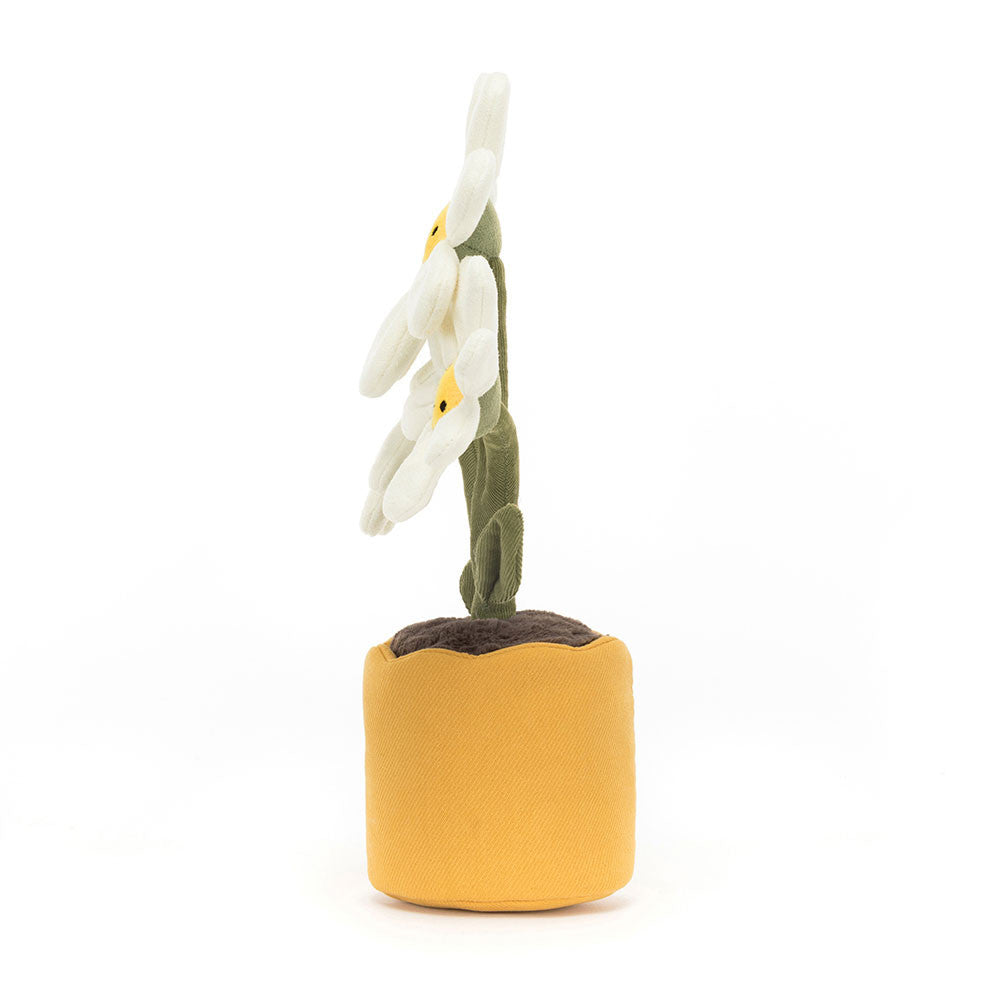 Jellycat - Amuseables Daisy (limit 1)