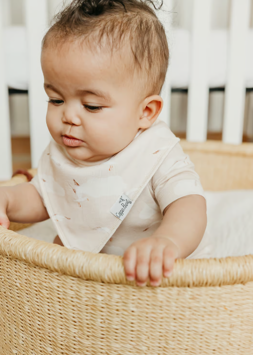 Copper Pearl - Fischer Bandana Bib Set (4-pack)