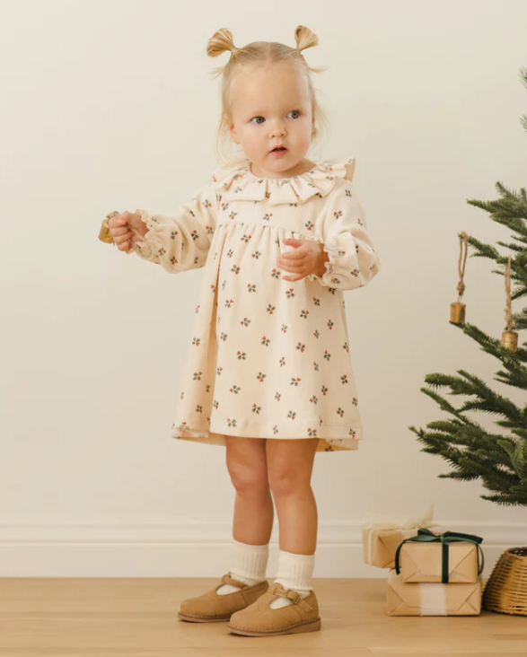 Quincy Mae - Velour Baby Dress || Holly Berry