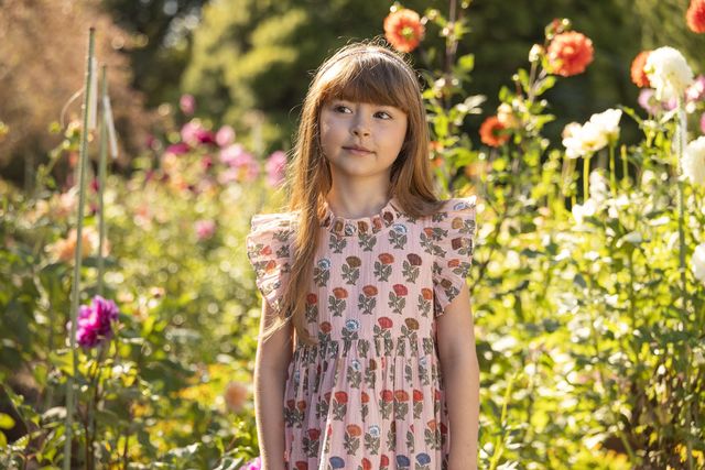 Pink Chicken - Jenifer Dress - Multi Floral