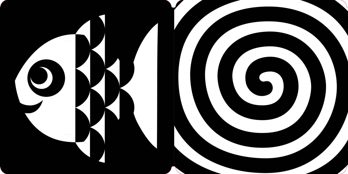 Hachette Book Group - Spring Street Tummy Time: Baby's First Book in Black & White Book