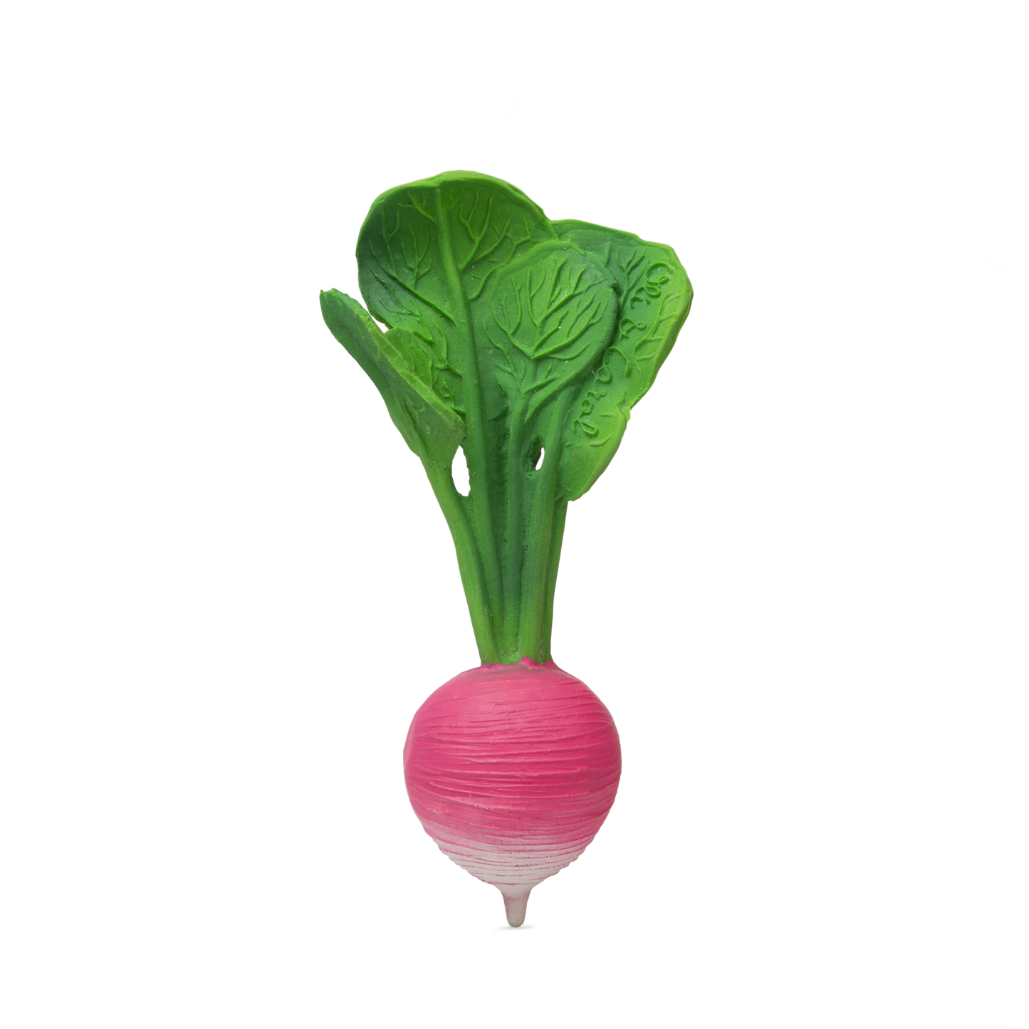 Oli & Carol US - Ramona the Radish