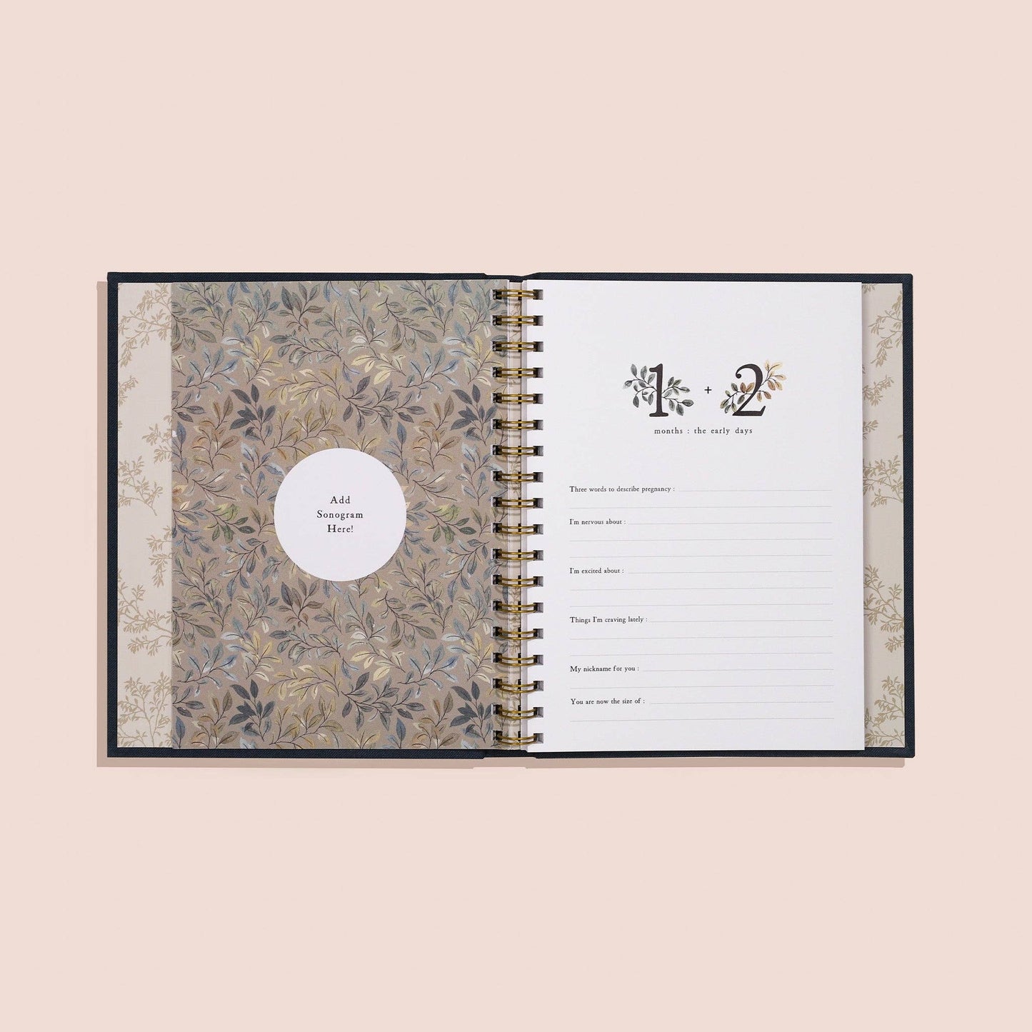 Paige Tate & Co. - Growing You: Pregnancy Journal