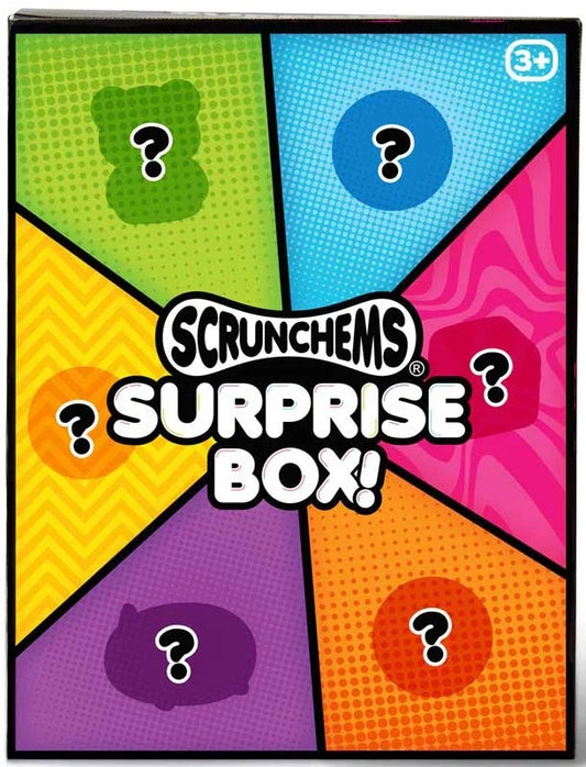 One for Fun - Scrunchems Surprise Box (limit 1)