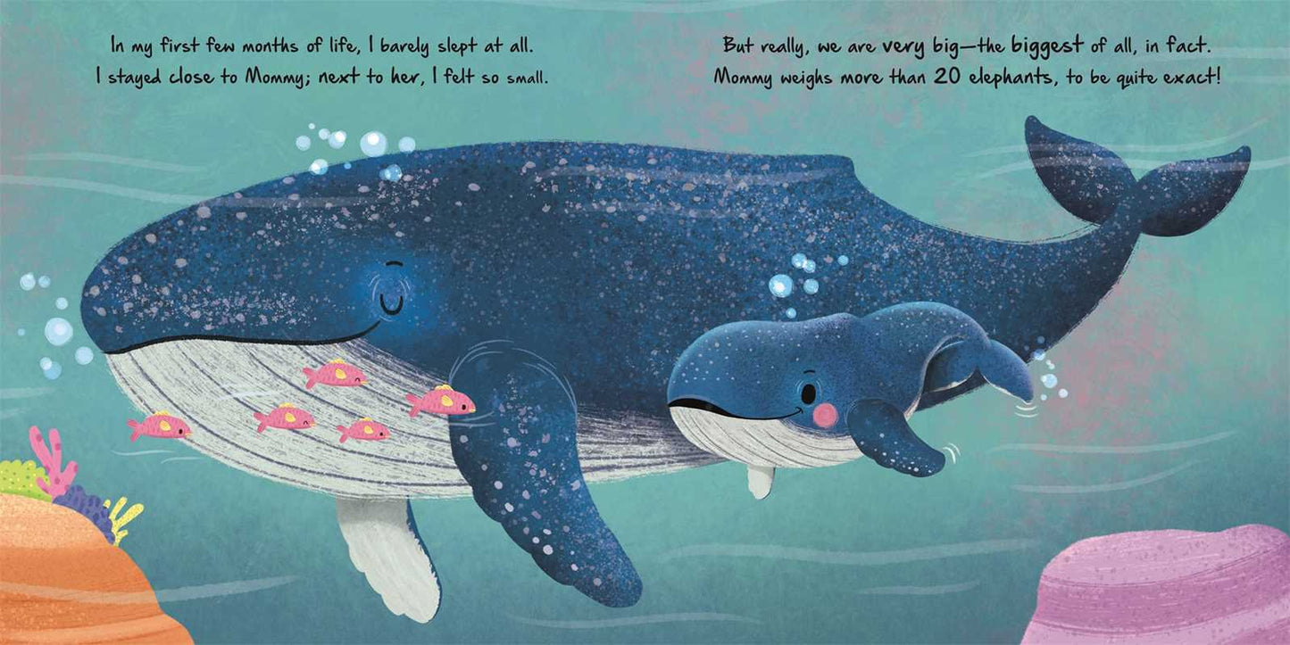 Simon & Schuster - Nature Stories: Little Whale by IglooBooks: Board Books; 24 pages / English