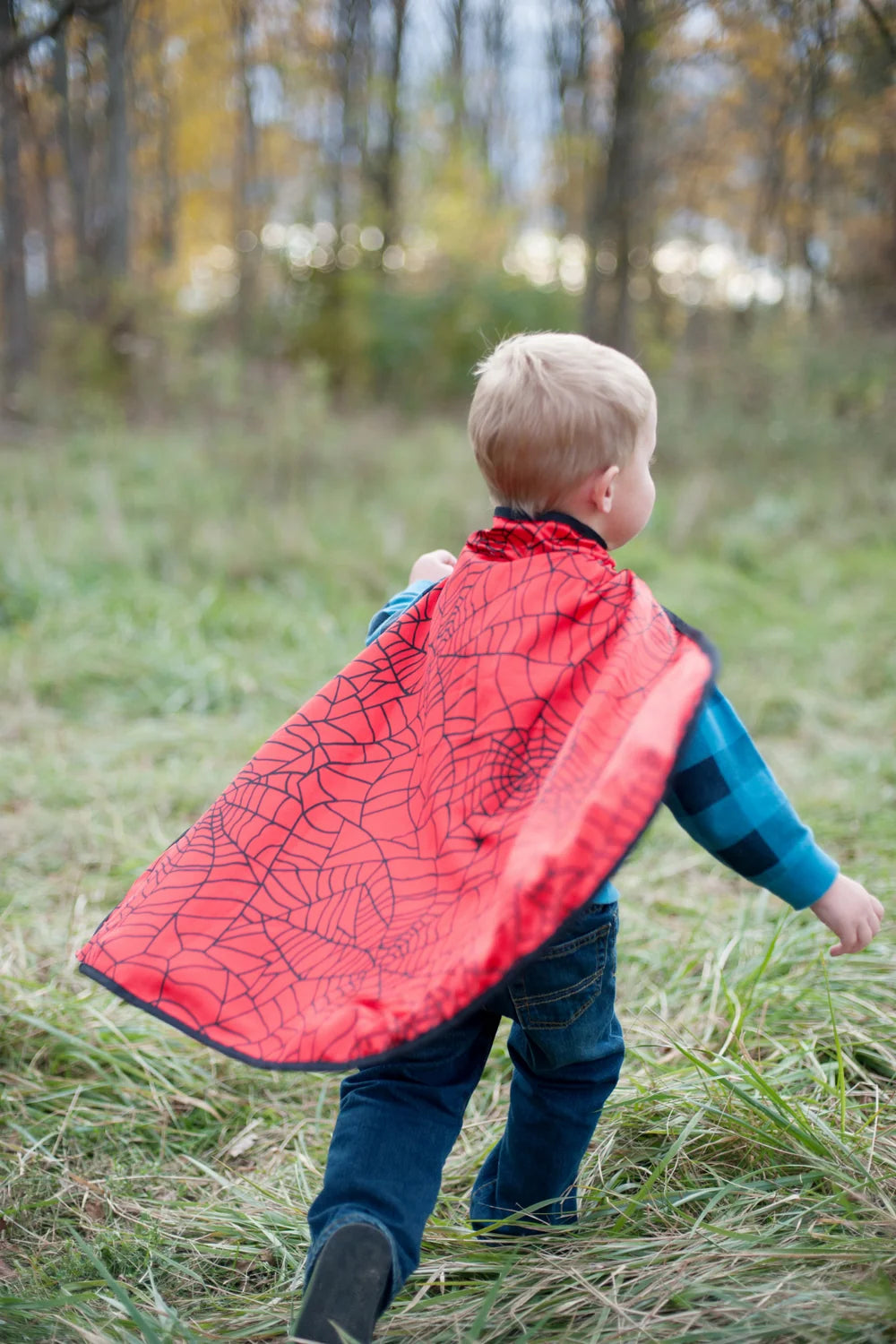 Great Pretenders - Colour-A-Cape Reversible Spider Superhero