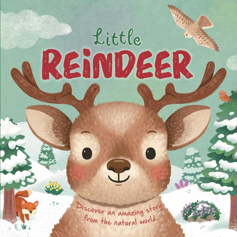 Simon & Schuster - Nature Stories: Little Reindeer by IglooBooks: Board Books; 24 pages / English