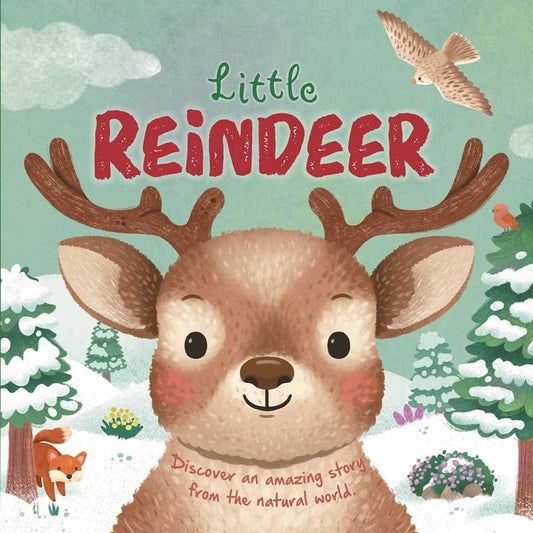 Simon & Schuster - Nature Stories: Little Reindeer by IglooBooks: Board Books; 24 pages / English