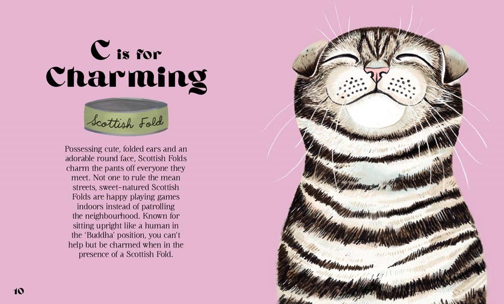 HarperCollins - Catphabet : A Cat Alphabet Book