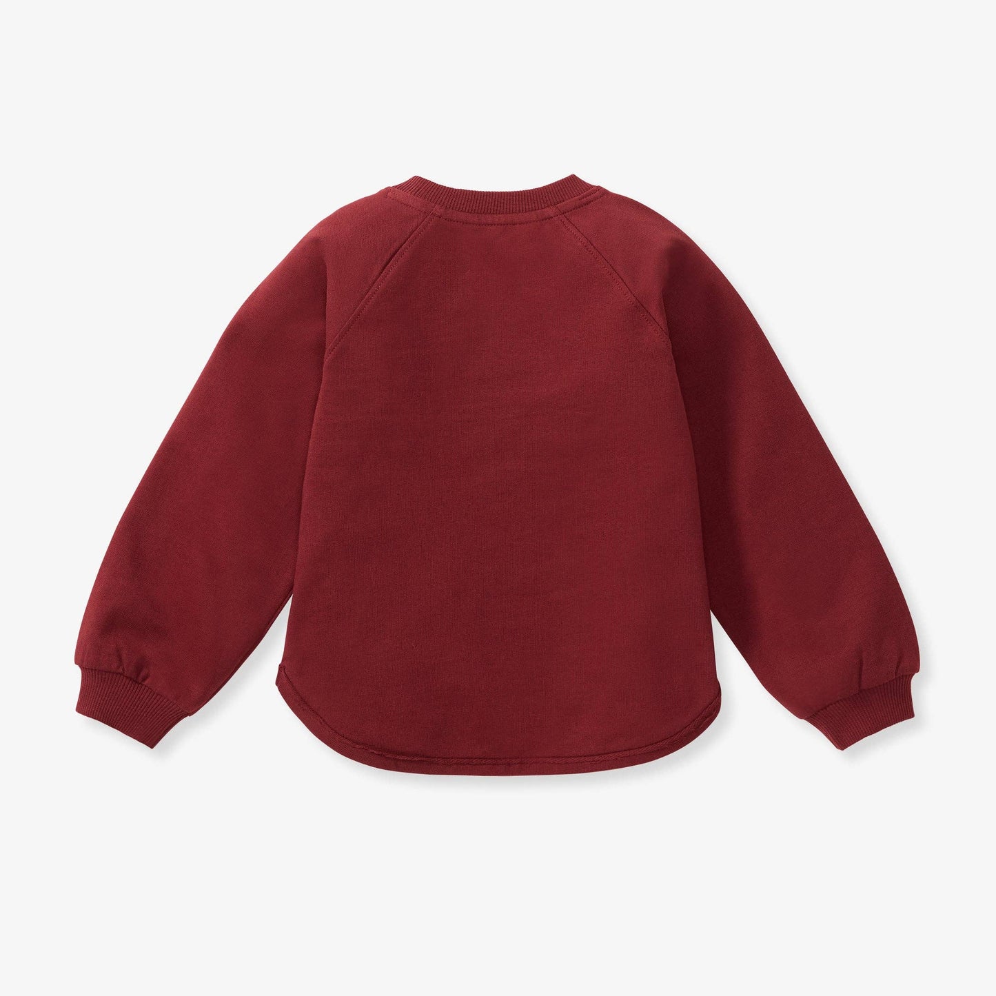 Burt's Bees Baby - Believe Holiday Sweatshirt