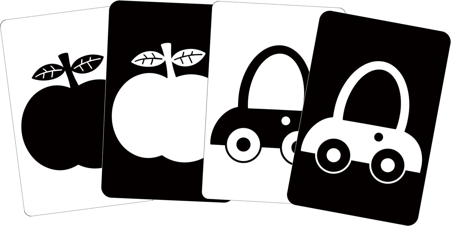 Peter Pauper Press - What Does Baby See? Flash Cards Value Pack (Set of 4)