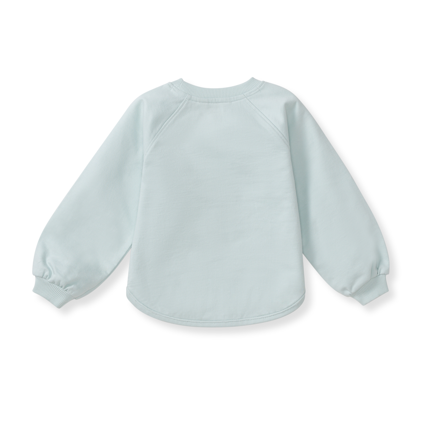 Burt's Bees Baby - Hoppy Blue Organic Cotton Sweatshirt