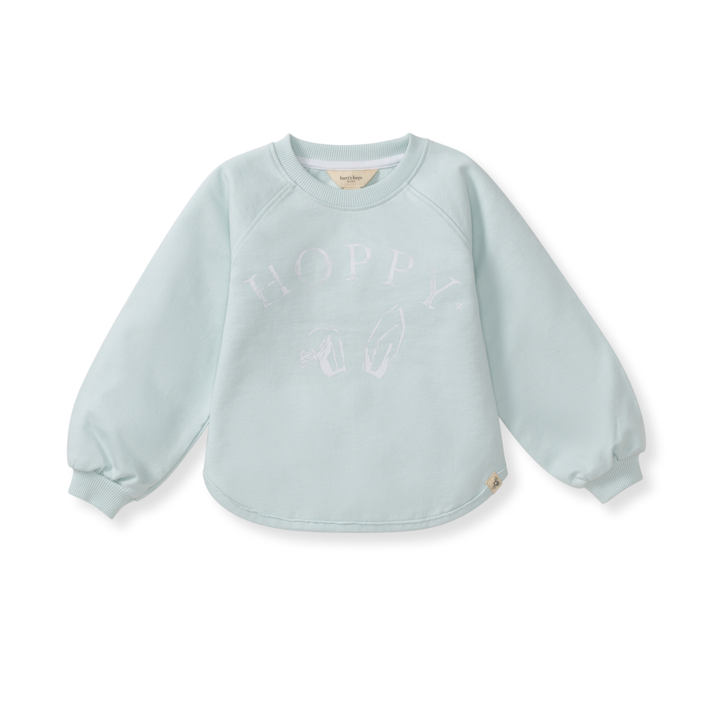 Burt's Bees Baby - Hoppy Blue Organic Cotton Sweatshirt