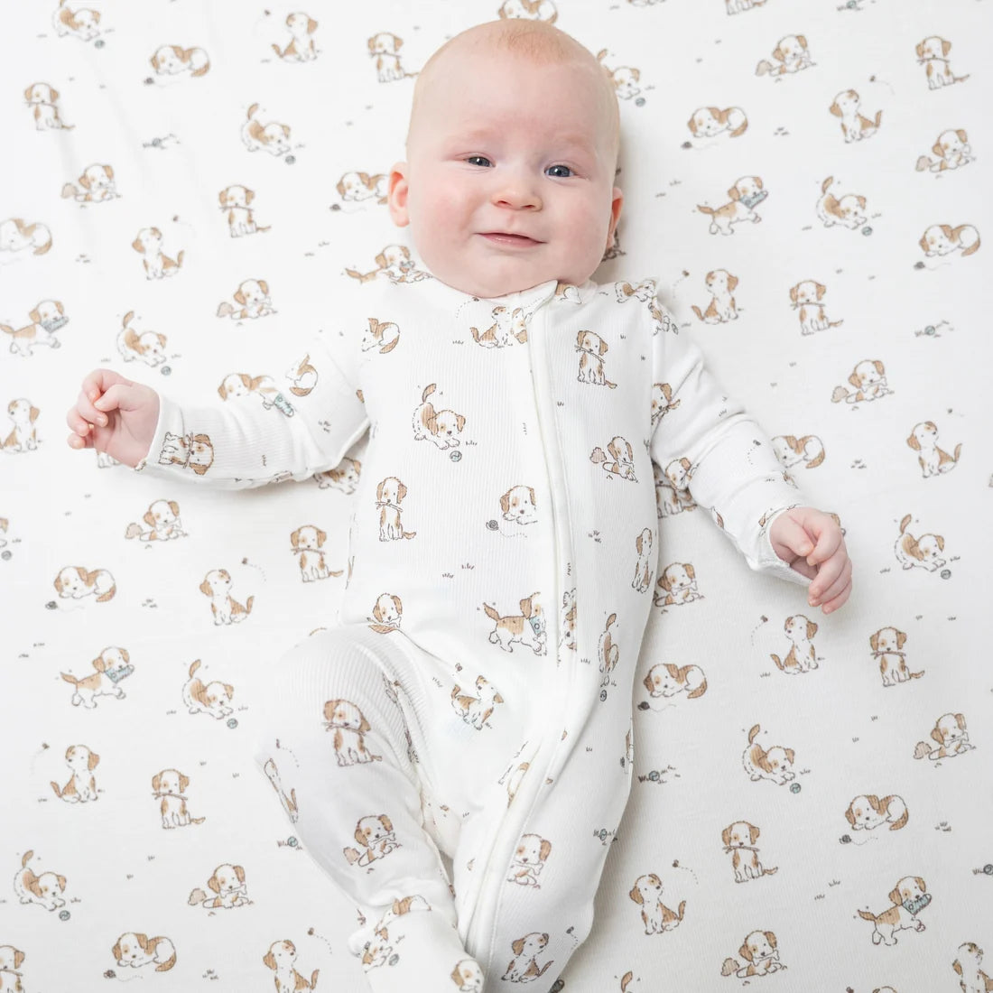 Angel Dear - Explorer Puppy Blue 2 Way Zipper Footie