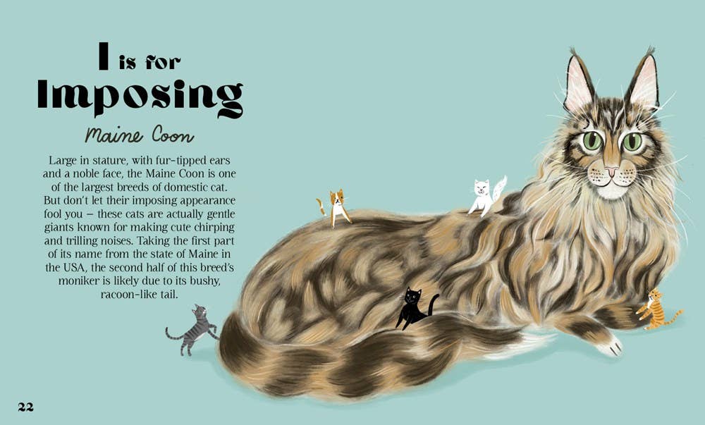 HarperCollins - Catphabet : A Cat Alphabet Book