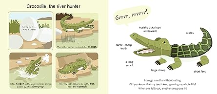 Touch and Explore: Safari