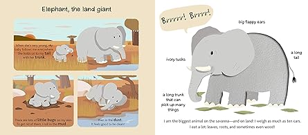 Touch and Explore: Safari