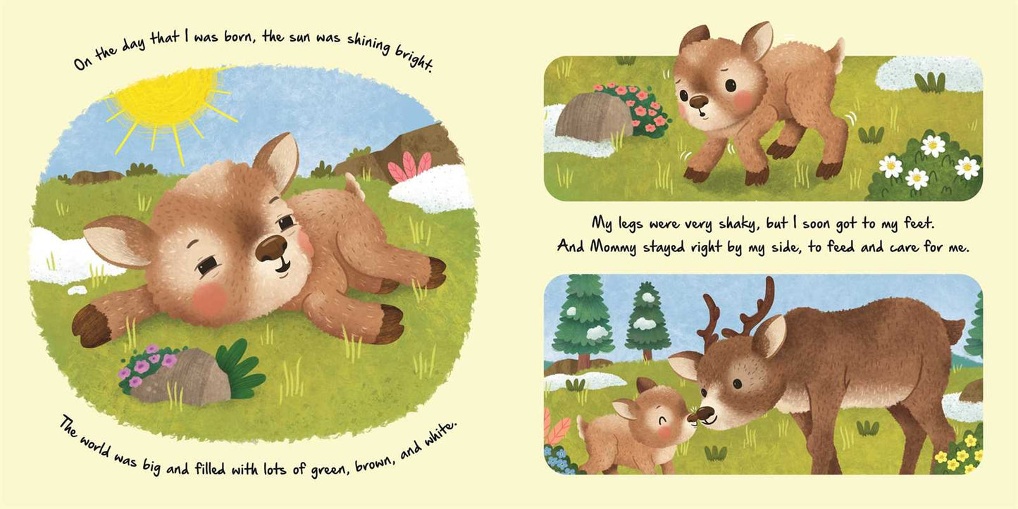 Simon & Schuster - Nature Stories: Little Reindeer by IglooBooks: Board Books; 24 pages / English