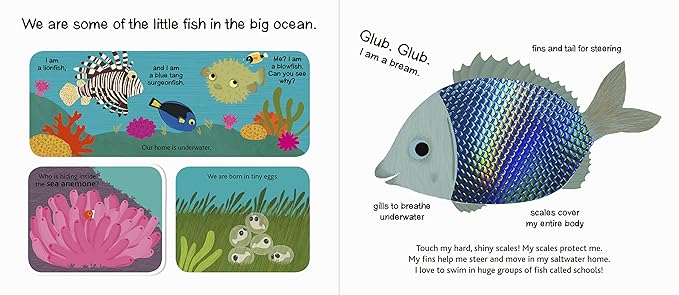 Touch and Explore: The Ocean