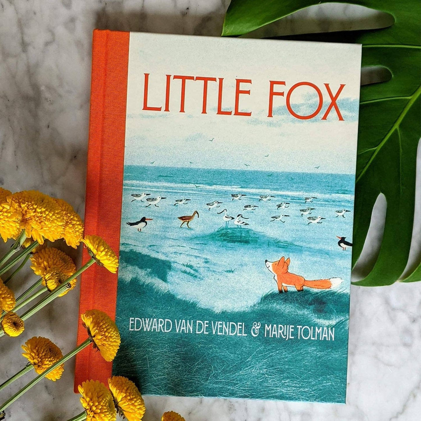 Chronicle Books - Little Fox Book