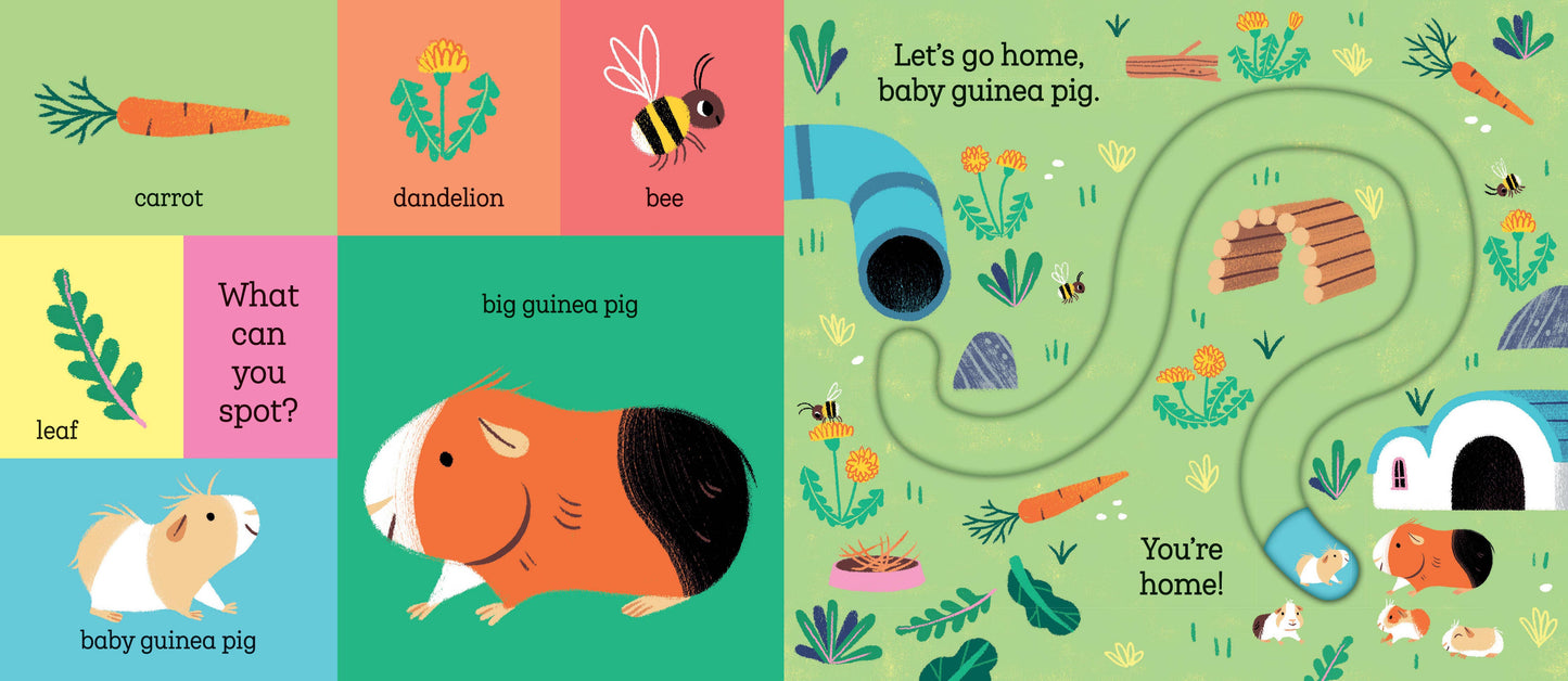 Hachette Book Group - Let's Go Home, Baby Puppy: Board Book