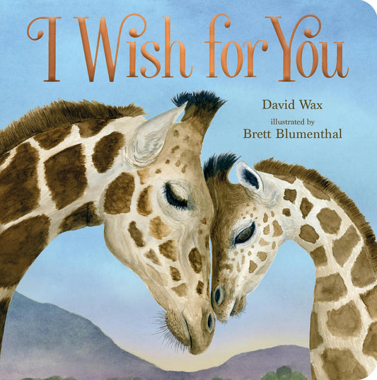 I Wish For You - Book