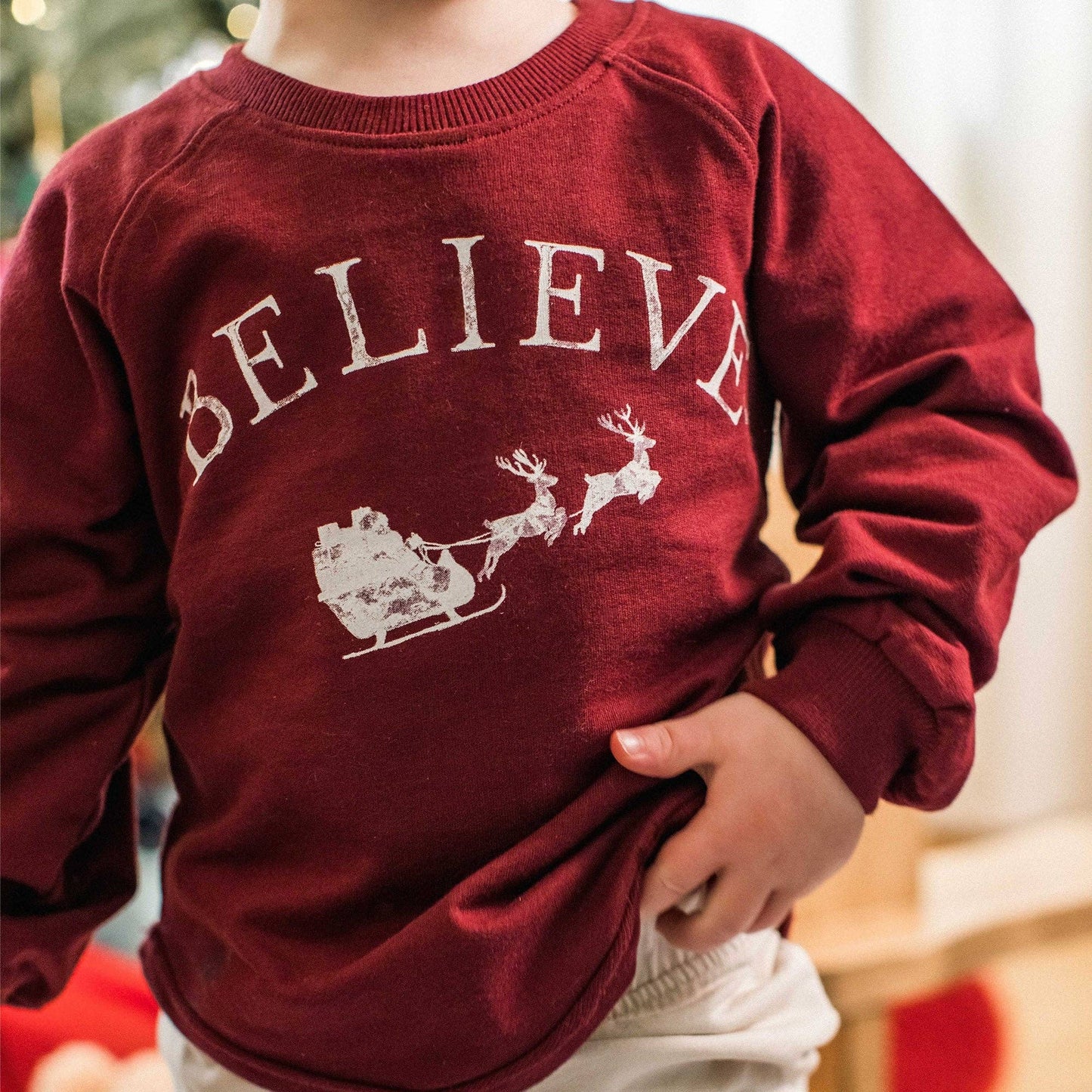 Burt's Bees Baby - Believe Holiday Sweatshirt