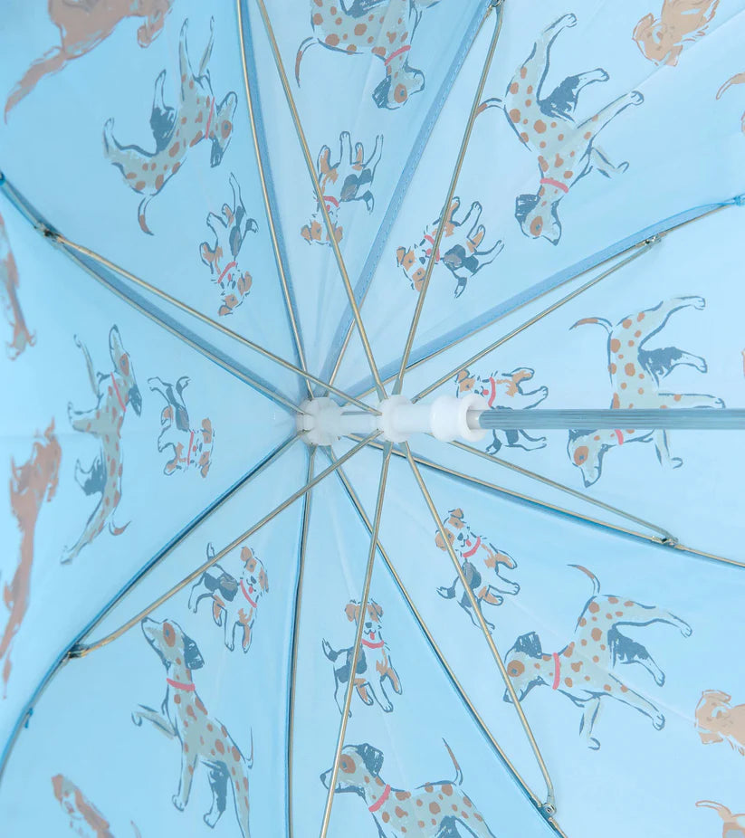 Hatley - Little Pups Blue Umbrella