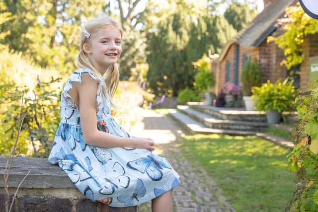 Pink Chicken - Girls Elsie Dress - Blue Vintage Butterflies