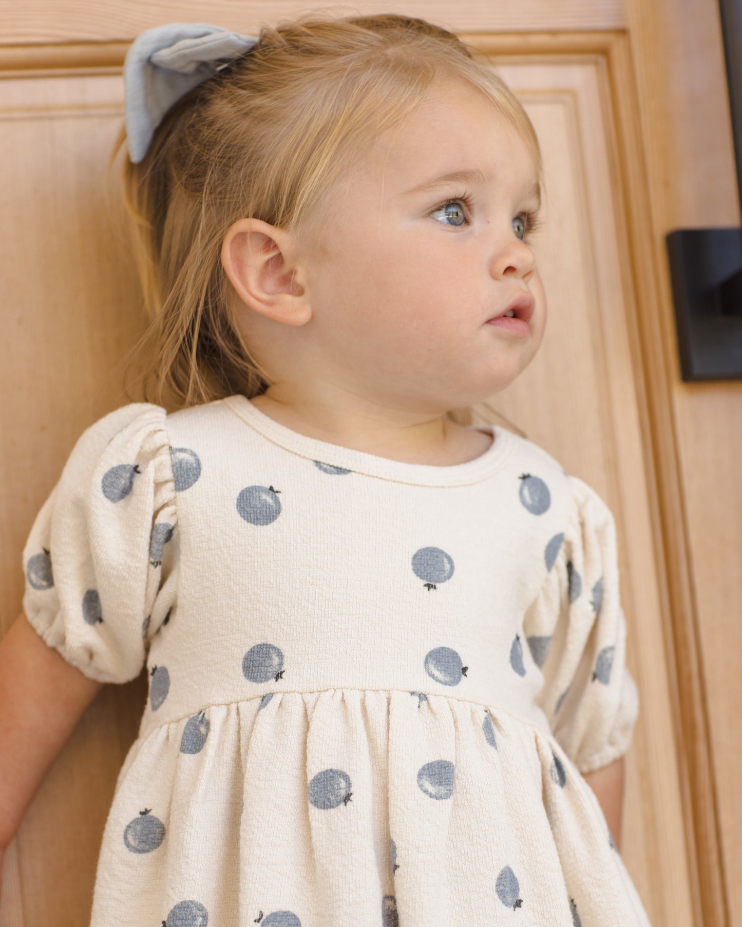 Quincy Mae - Darla Dress || Blueberries