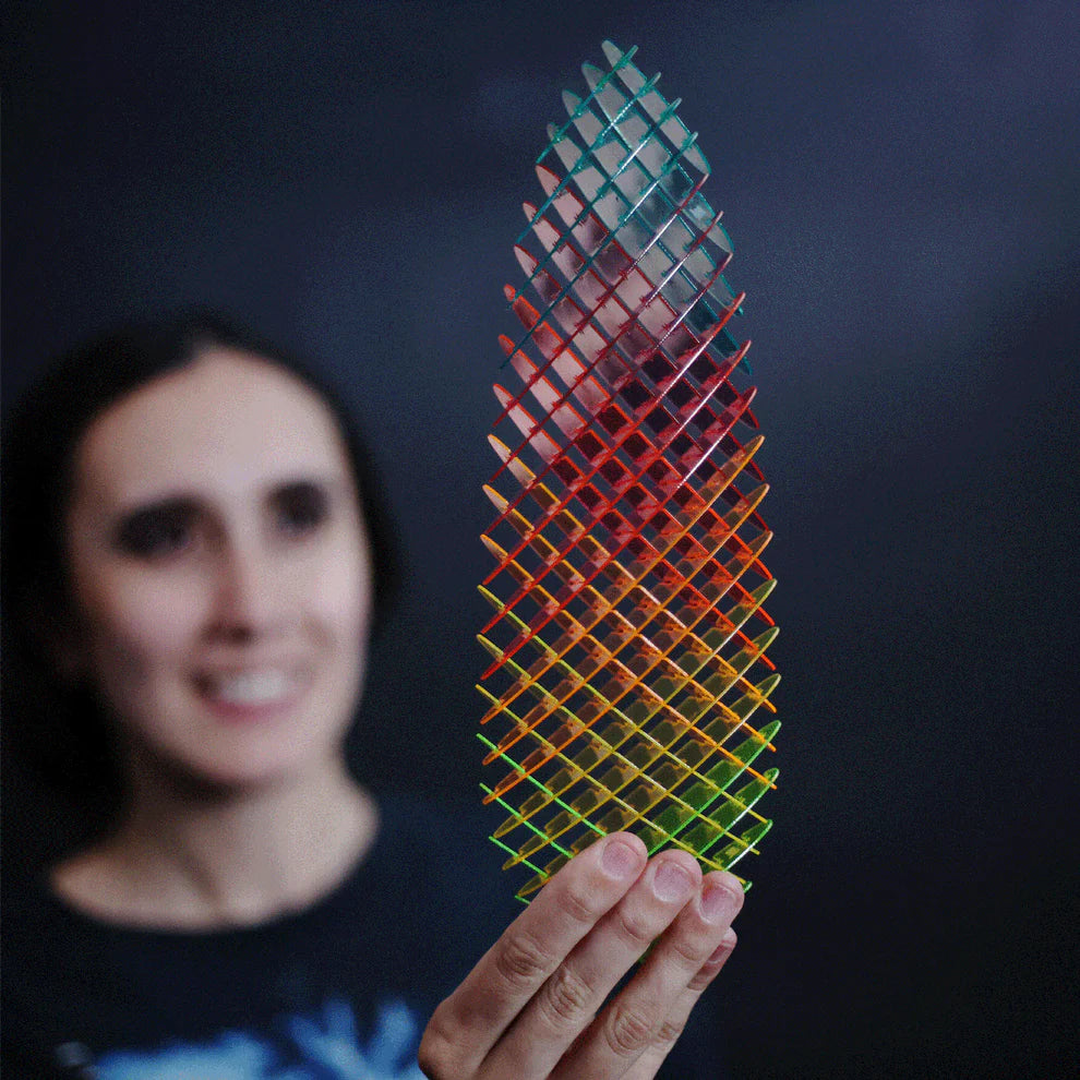 Morf - Worm Rainbow Big