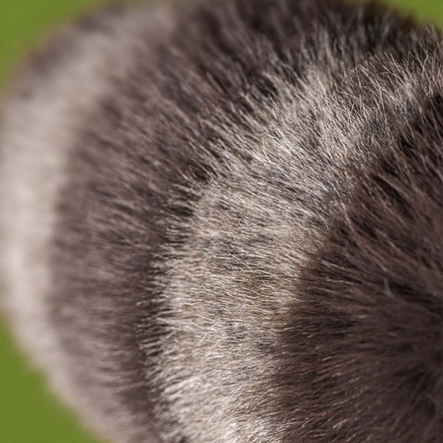 Jellycat - Trixiwoo Raccoon (limit 1)