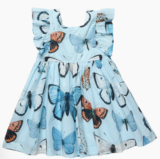Pink Chicken - Girls Elsie Dress - Blue Vintage Butterflies