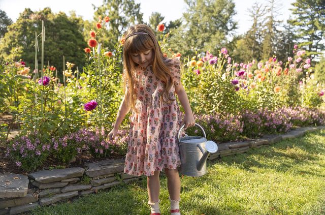 Pink Chicken - Jenifer Dress - Multi Floral