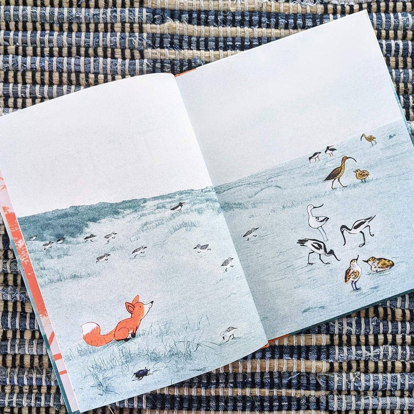 Chronicle Books - Little Fox Book