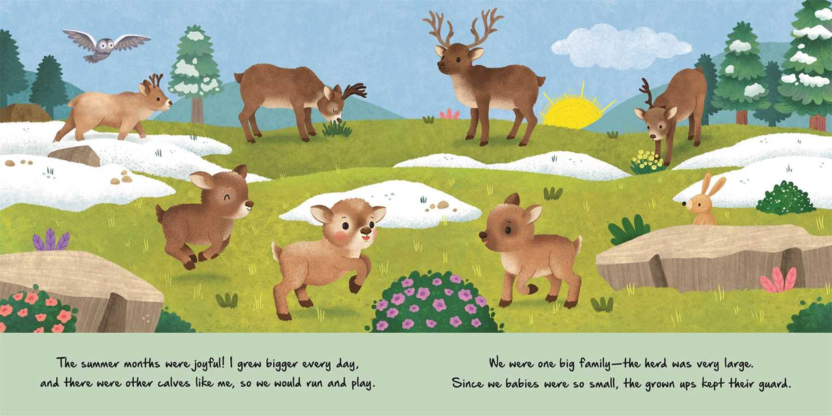 Simon & Schuster - Nature Stories: Little Reindeer by IglooBooks: Board Books; 24 pages / English