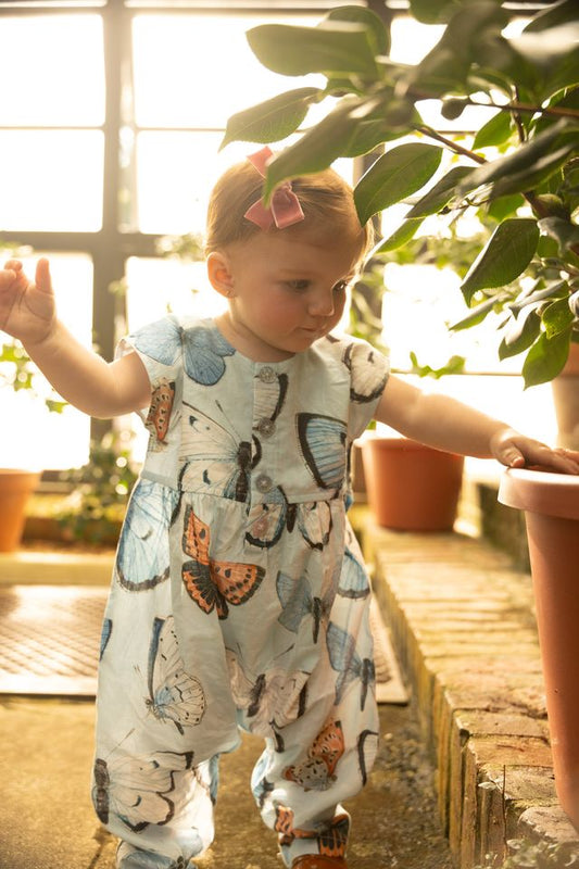 Pink Chicken - Baby Girls Alexandra Jumper - Blue Vintage Butterflies