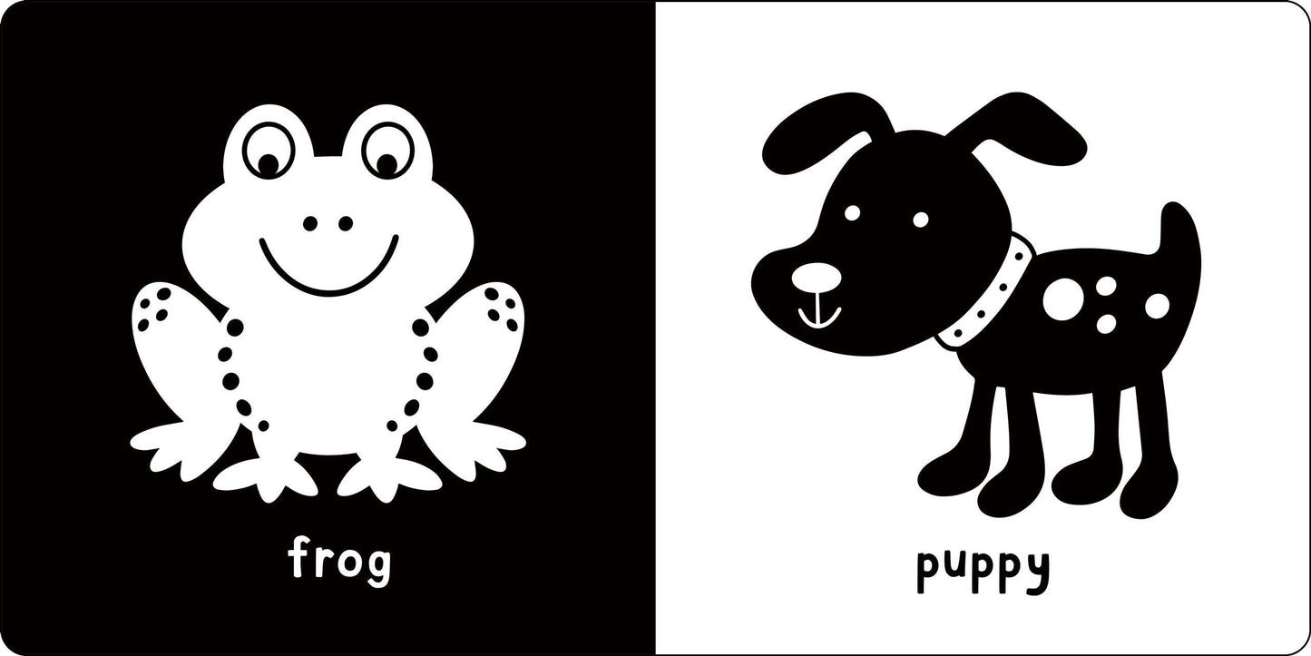 Peter Pauper Press - What Does Baby See? A High-Contrast Board Book
