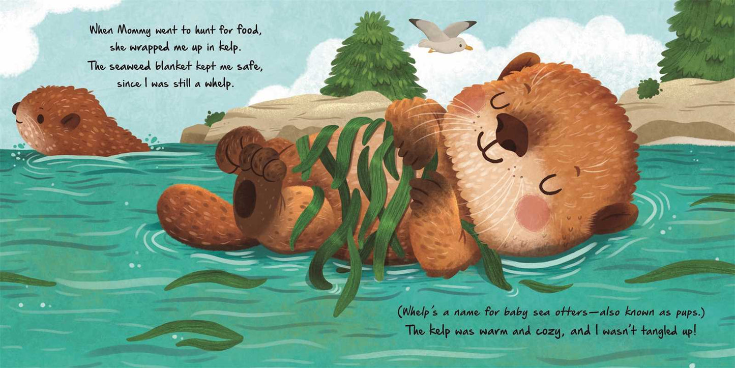 Simon & Schuster - Nature Stories: Little Otter-Discover an Amazing Story from the Natural World by IglooBooks: Board Books; 24 pages / English