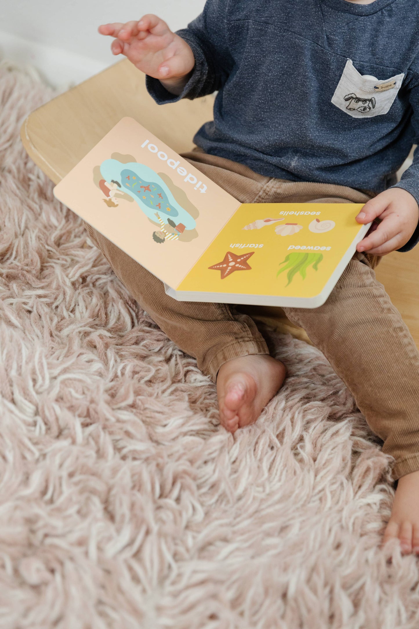 Left Hand Book House - Beach Baby- Board Book