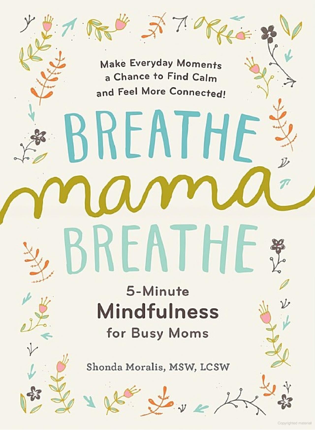 Breathe Mama Breathe :5-Minute Mindfulness for Busy Moms Book