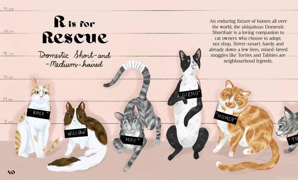 HarperCollins - Catphabet : A Cat Alphabet Book